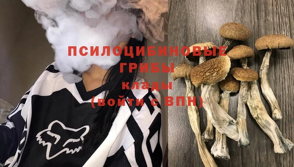 тгк Карпинск