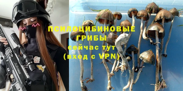 гашиш Касимов