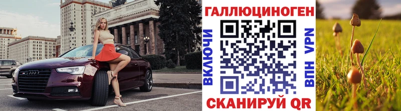 Купить где  Железногорск-Илимский  Псилоцибиновые грибы Psilocybine cubensis 